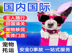 杭州萧山空运地址国际宠物托运 【国